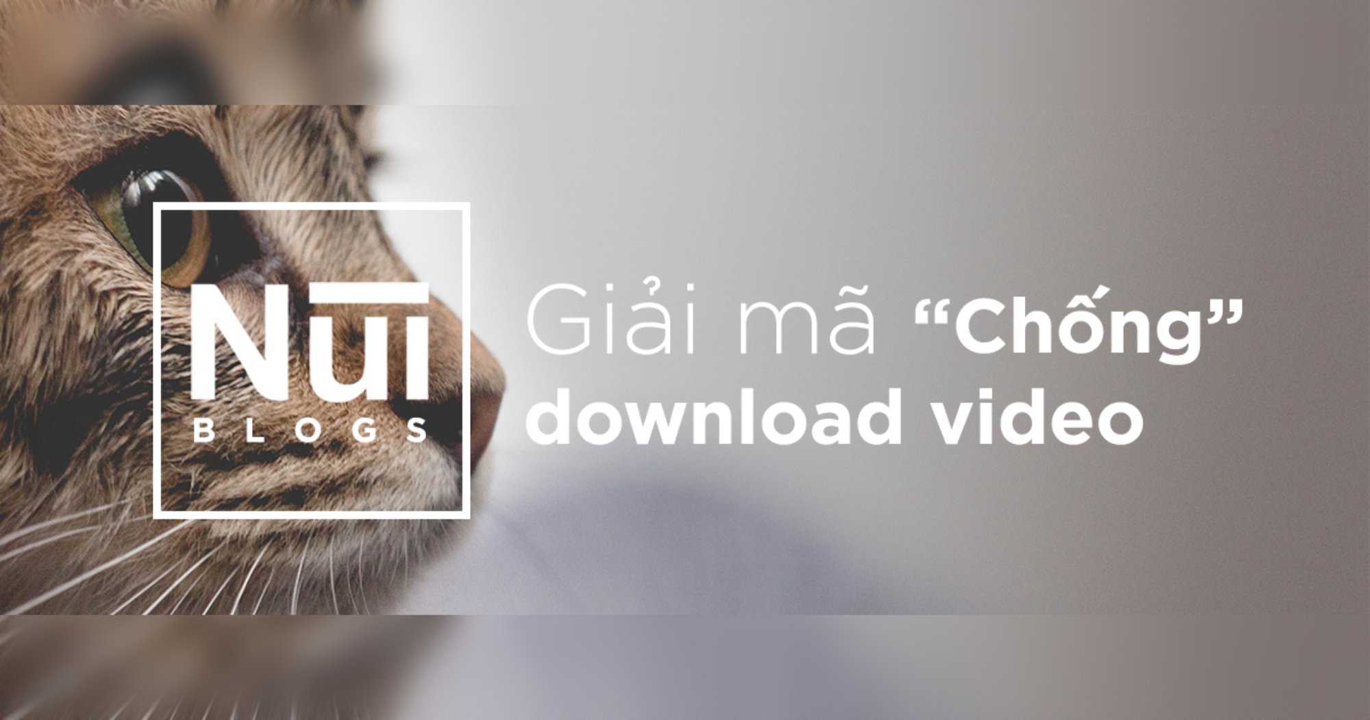 #29: "Chống" download video? 