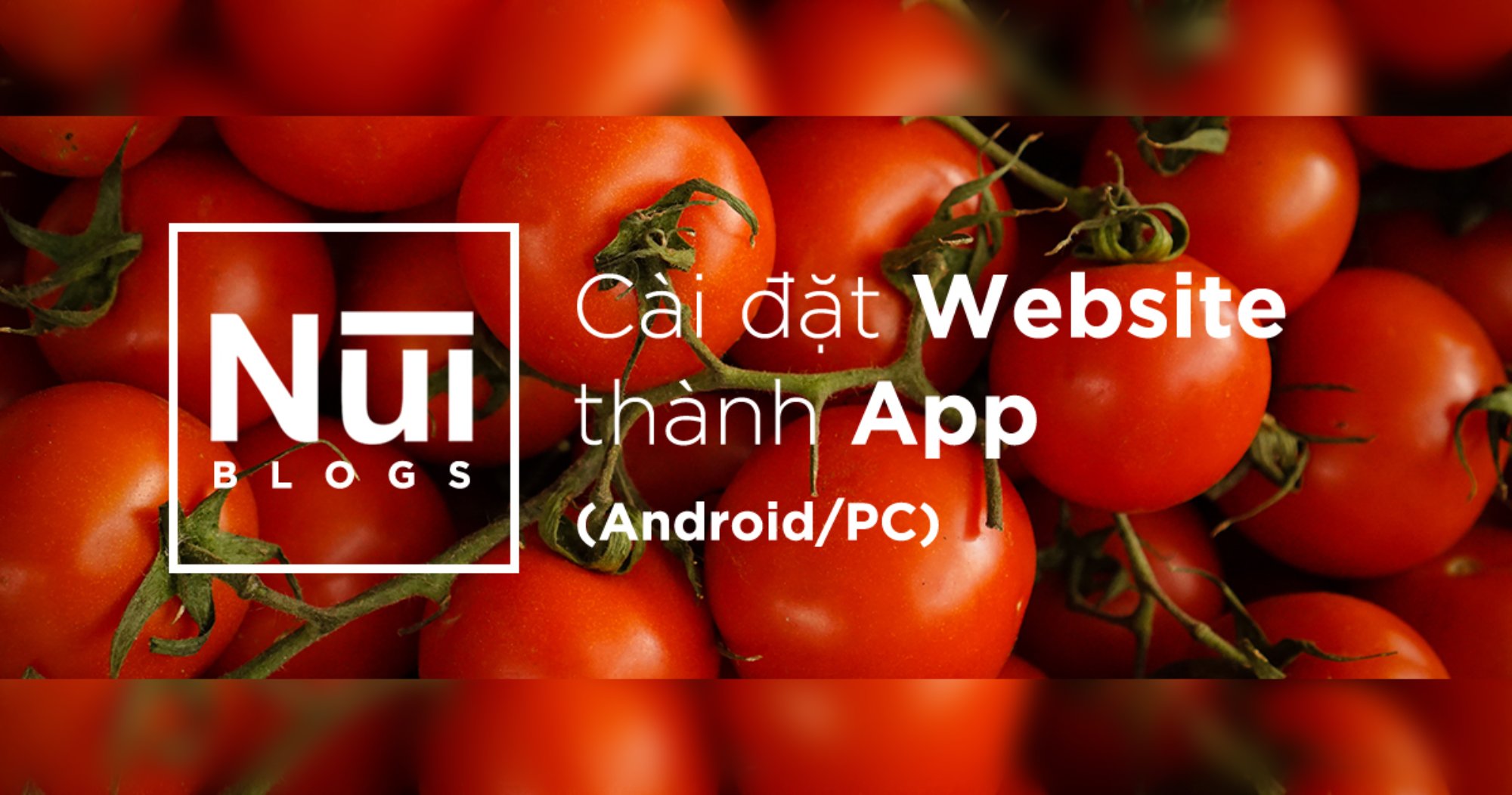 #32: Cài web thành app trên Android/PC 